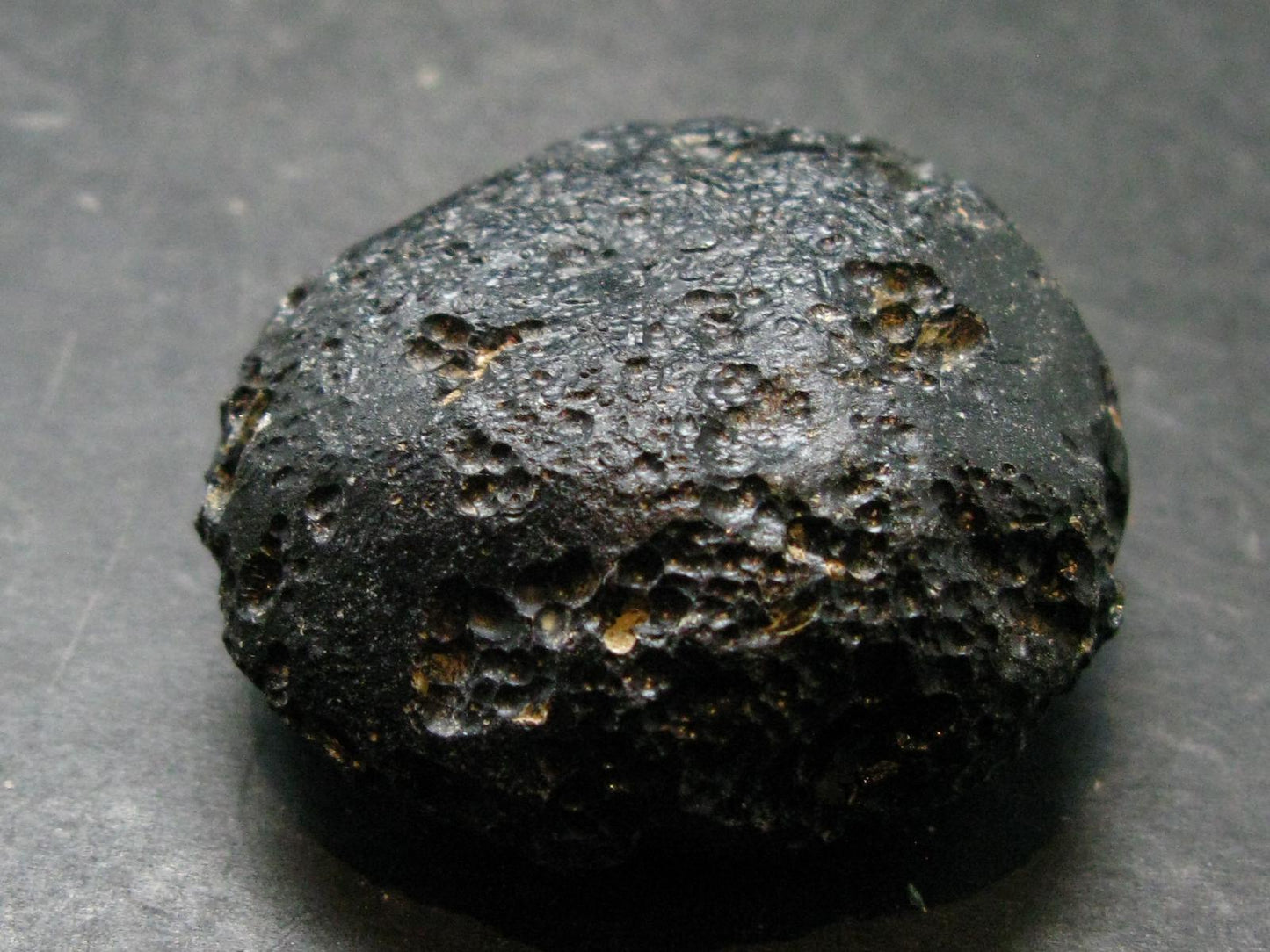 Rare Large Black Tibetan Tektite Raw Piece from Tibet - 1.9" - 67.14 Grams