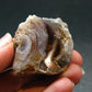 Fire Agate Crystal From Mexico - 1.4" - 32.51 Grams