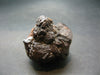 Rare Prophecy Stone Limonite after Pyrite From Egypt - 1.4" - 46.54 Grams
