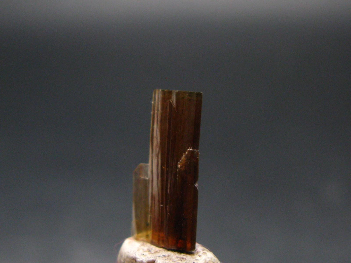 Large Brookite Crystal From Pakistan - 0.22 Grams - 15 mm