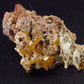 Wulfenite Cluster From Arizona - 2.6"