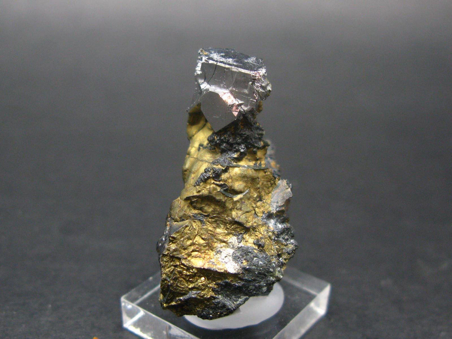 Sperrylite Crystal On Matrix From Russia - 1.3" - Huge 12mm Crystal