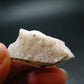 Phenakite Phenacite Crystal from Brazil - 9.12 Grams - 1.3"