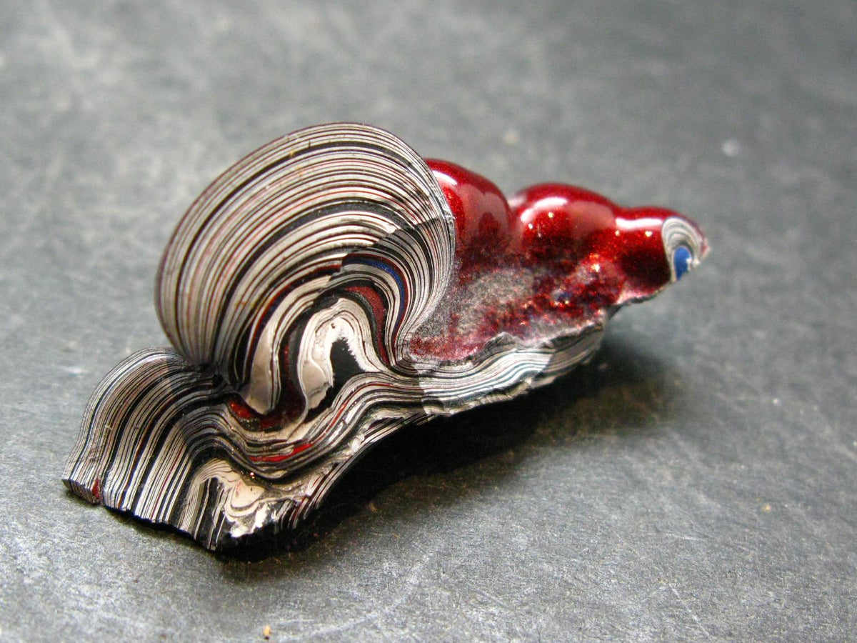 Very Cool Fordite "Detroit Motor City Agate" from Michigan - 1.7"- 7.51 Grams