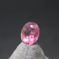 Rare Large Pezzottaite Pink Beryl Cut Facetted Gem from Madagascar - 0.25 Carats