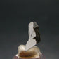 Phenakite Phenacite Crystal Slice from Russia - 4.46 Carats - 0.5"