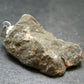 Rare Shammanite Shamanite Master Shamanite Sterling Silver Pendant From USA - 1.4" - 4.71 Grams