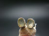 Green Herderite Silver Stud Earrings From Brazil - 1.34 Grams