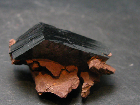 Vivianite Crystal From Bolivia - 1.6" - 12.6 Grams