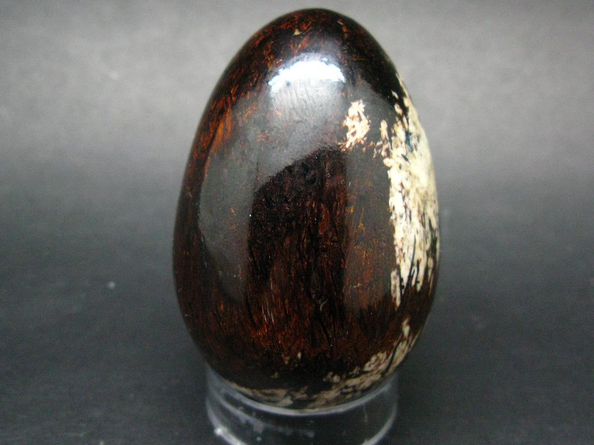 Large Astrophylite Astrophyllite Egg From Russia - 2.5"