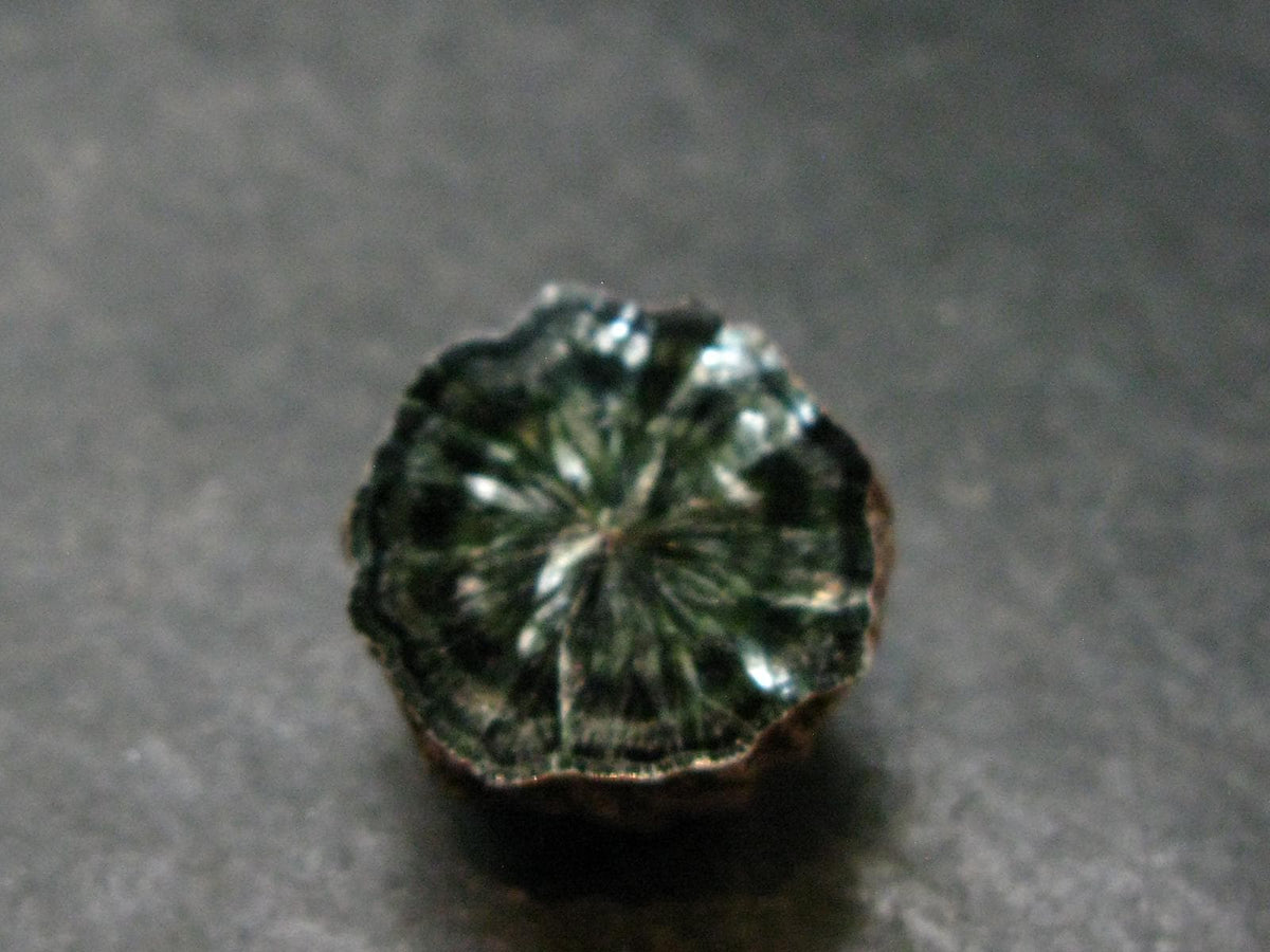 Nice Polished Seraphinite Clinochlore Stalactite From Russia - 0.8" - 6.06 Grams