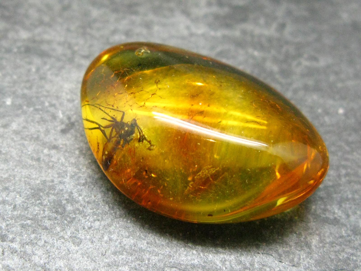 Insects in Amber Piece From Baltic Sea - 3.18 Grams - 1.1"
