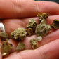 Rare Lot of 10 Monazite Crystals From Brazil - 7.49 Grams