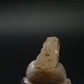 Phenakite Phenacite Crystal Bead from Nigeria 1.57 Carats