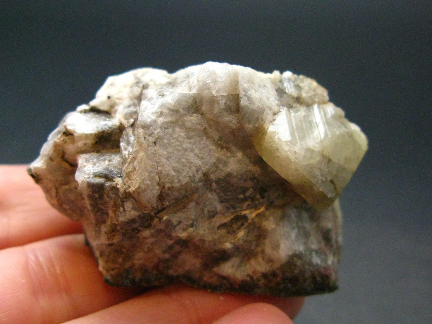 Rhodizite Rhodozite Cluster From Madagascar - 1.8"