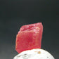 Rhodochrosite Gem Crystal From Colorado - 0.6" - 1.44 Grams