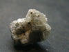 Phenakite Phenacite Crystal From Brazil - 2.96 Grams - 0.6"