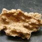 Large Fulgurite Lightning Rock From Sahara Desert - 1.6" - 3.20 Grams