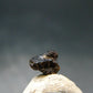 Rare Painite Crystal From Myanmar - 1.25 Carats