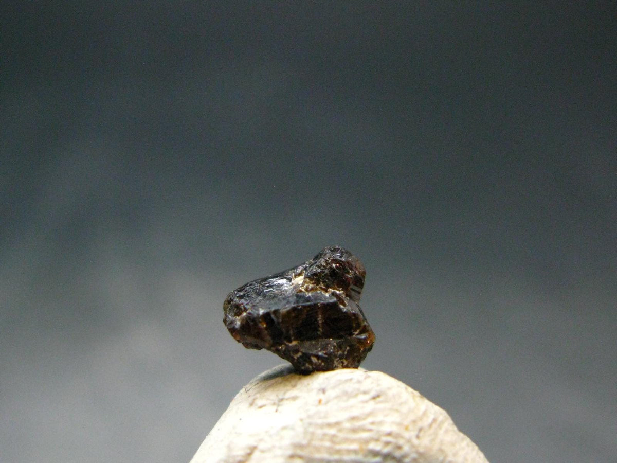 Rare Painite Crystal From Myanmar - 1.25 Carats