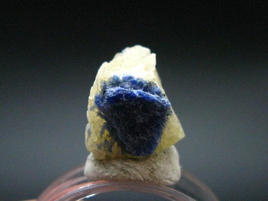 Fine Rare Carletonite Crystal From Mt. St. Hilaire Canada - 0.5" - 1.82 Grams