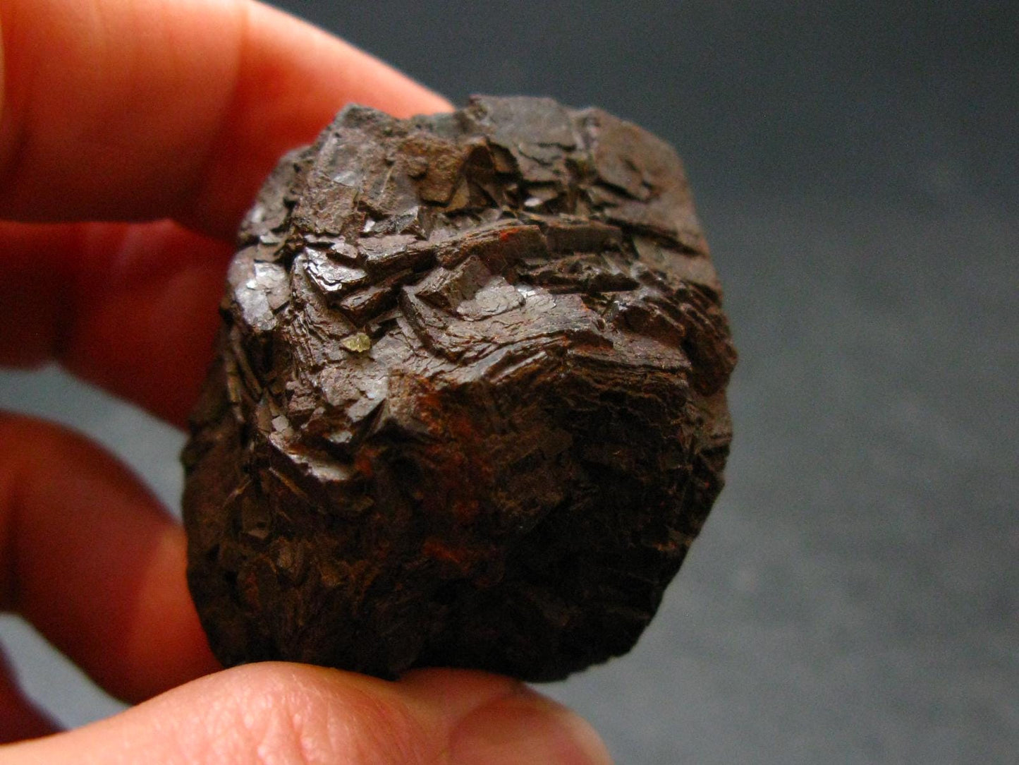 Rare Prophecy Stone Limonite after Pyrite From Egypt - 1.1" - 63.16 Grams