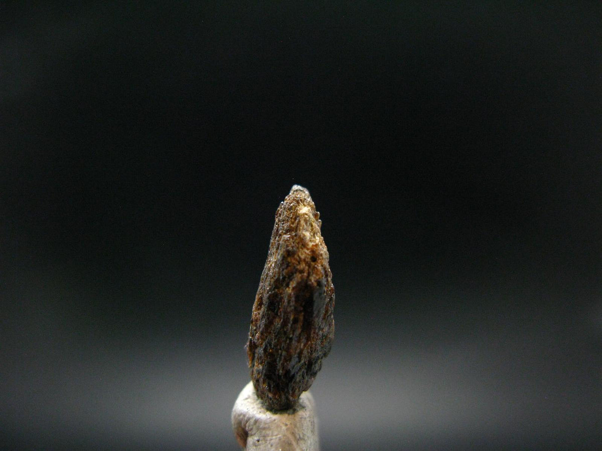 Rare Painite Crystal From Myanmar - 9.60 Carats
