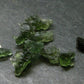 Lot of 10 Rare Moldavite Tektite From Czech Republic - 25 Carats