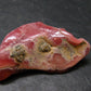 Rhodochrosite Stalactite From Argentina - 1.8" - 20.00 Grams