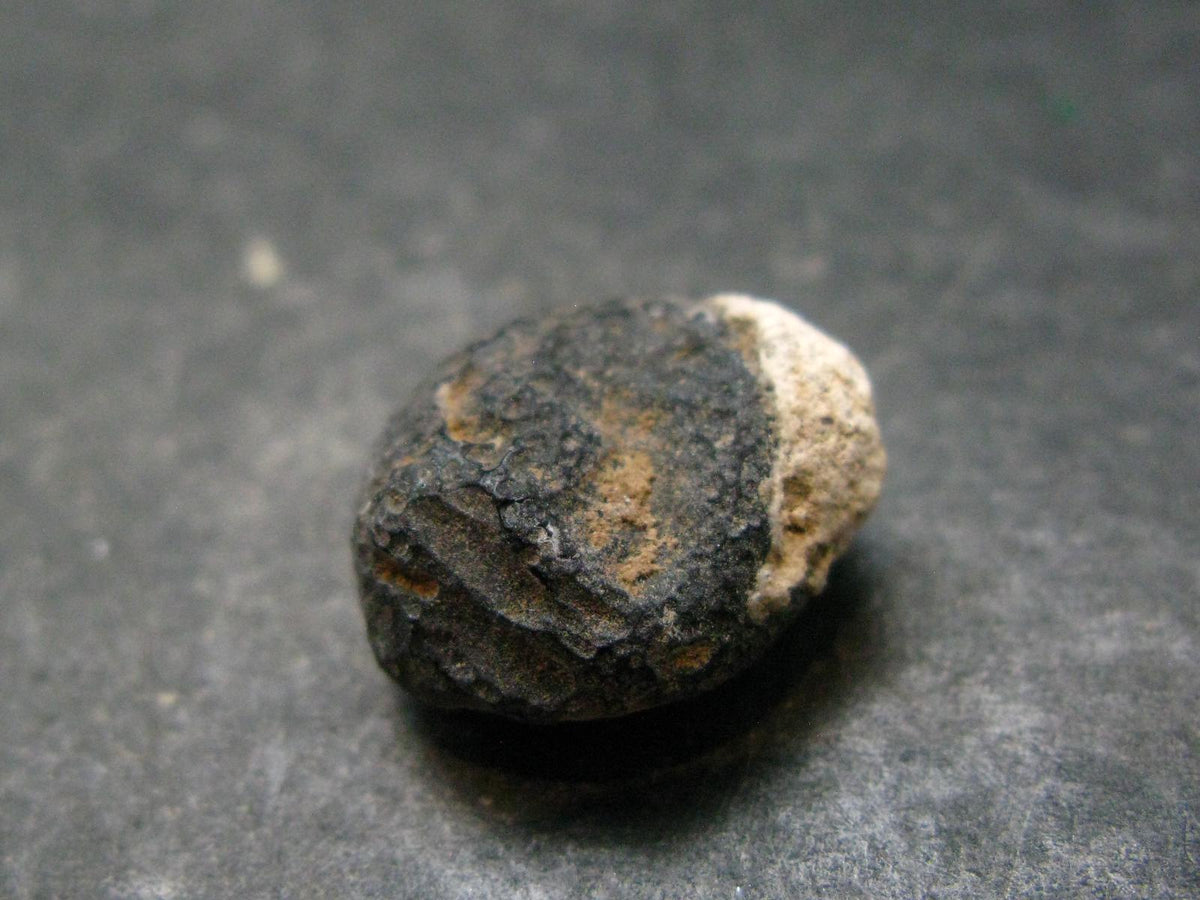 Rare Saffordite Cintamani Stone Pseudotektite Piece from Arizona USA - 10.50 Carats - 0.6"