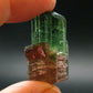 Rare Watermelon Tourmaline Crystal From Brazil - 1.1"
