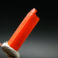 Large Orange Crocoite Crystal From Australia - 0.1" - 5.80 Carats