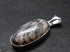 Pinolite Silver Plated Pendant from Austria - 1.5" - 5.89 Grams