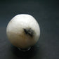 Rare Cryolite Sphere Ball From Greenland - 1.3" - 65.27 Grams