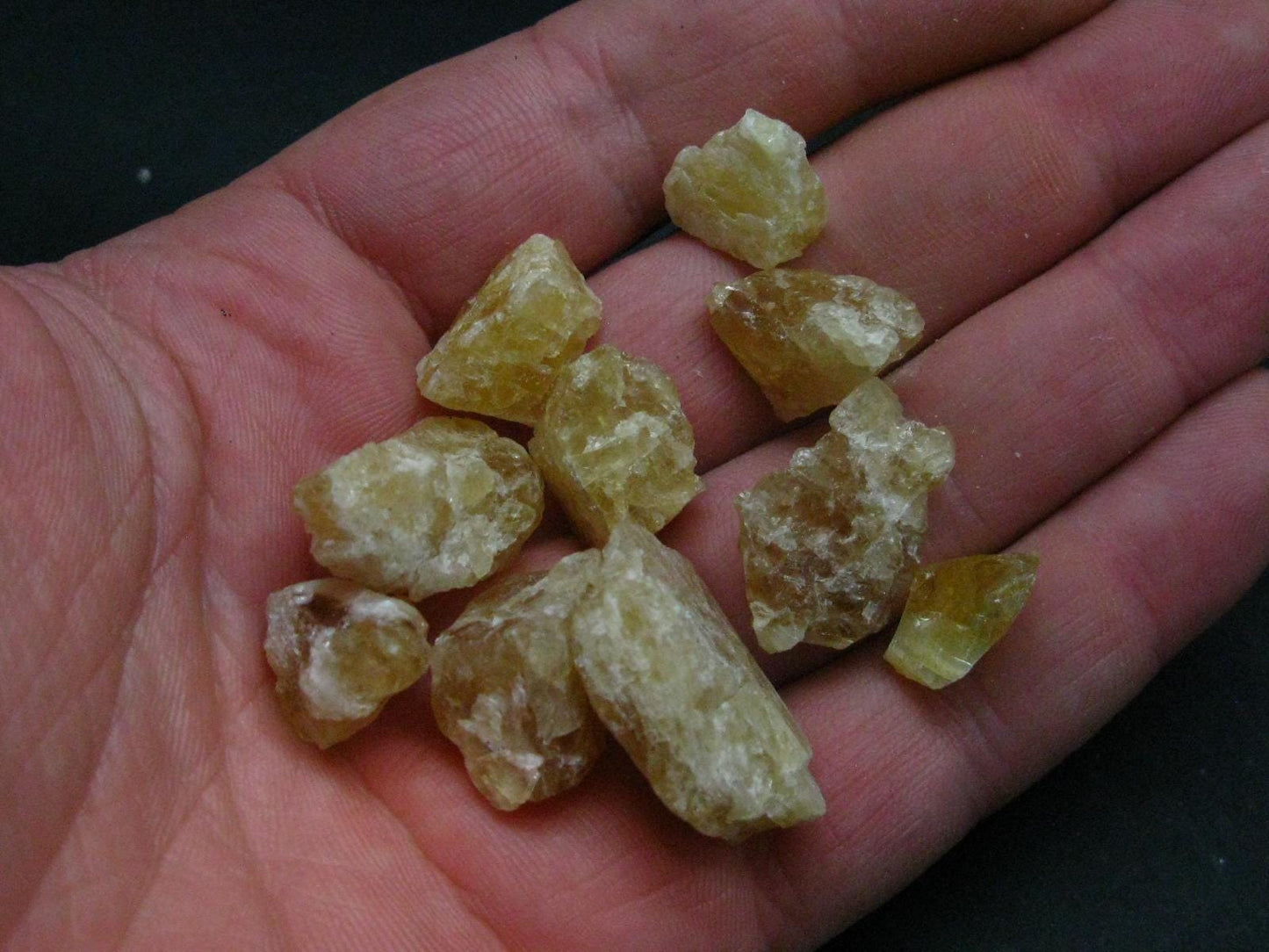 Lot of 10 Agni Gold Danburite Crystals From Tanzania