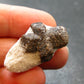 A Perfect Staurolite Crystal from Russia - 1.2" - 7.03 Grams