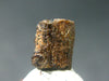 Rare Painite Crystal From Myanmar - 3.71 Carats