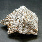 Astrophylite Astrophyllite Cluster From Russia - 2.4" - 65.46 Grams
