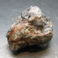 Museum Alexandrite Chrysoberyl Cluster From Zimbabwe - 29.64 Grams - 1.3"