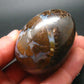 Super Rare Boulder Opal Egg from Australia - 2.3" - 145.2 Grams