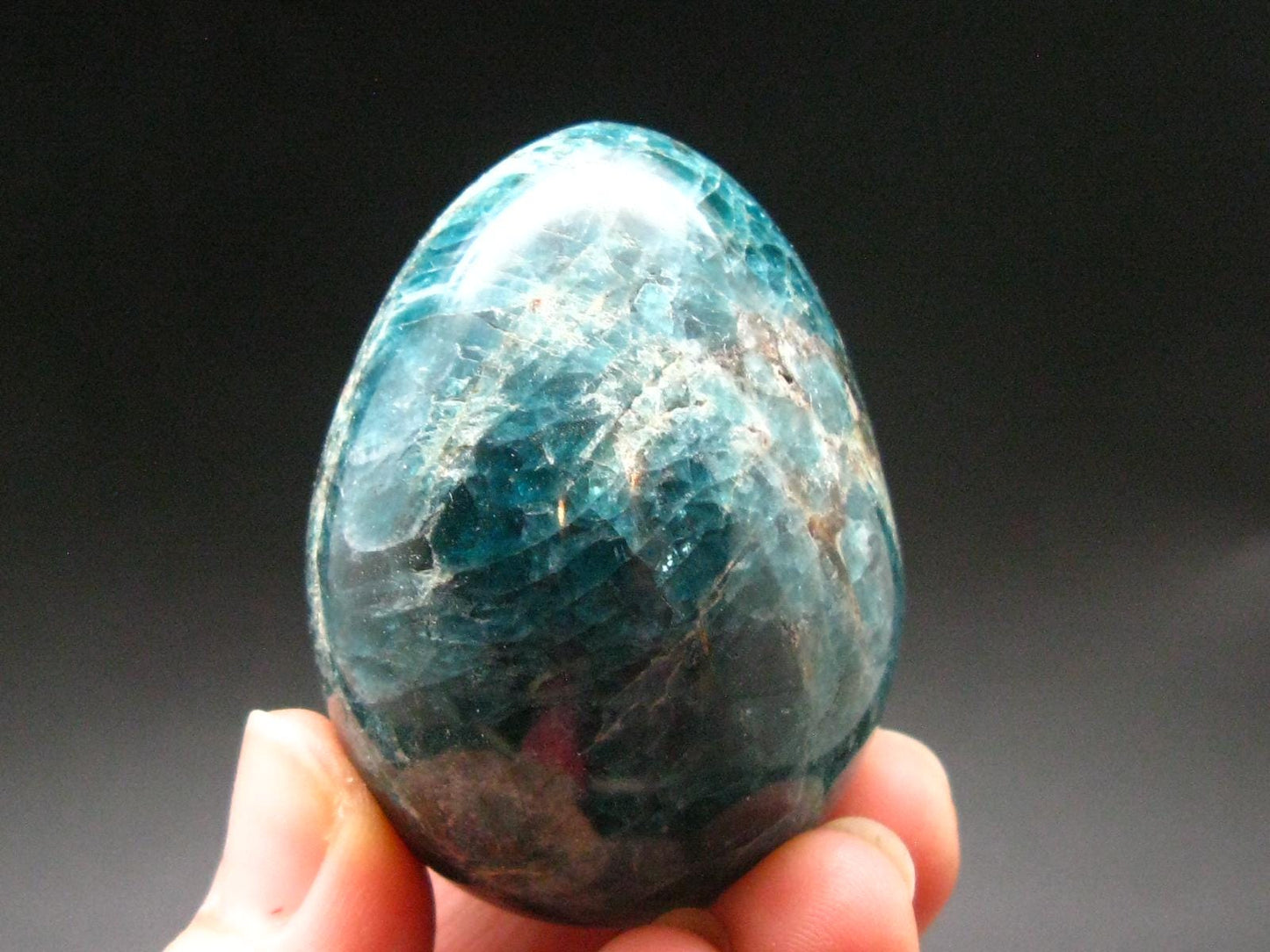 Large Neon Blue Apatite Egg from Madagascar - 107.68 Grams - 1.9"