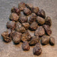 Lot of 25 Rare Alexandrite Chrysoberyl Crystals From Brazil - 60 Carats
