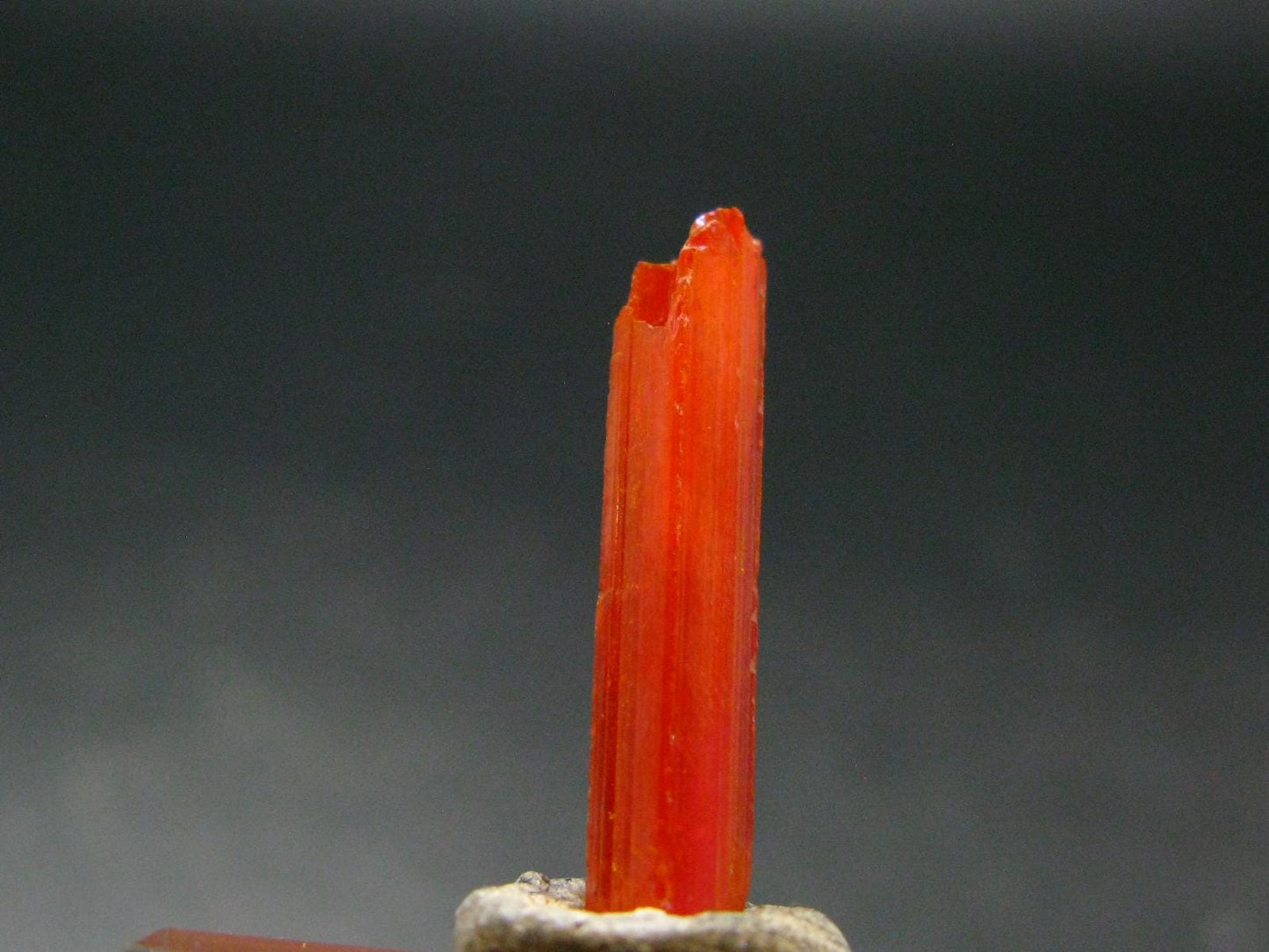 Large Orange Crocoite Crystal From Australia - 0.9" - 5.80 Carats