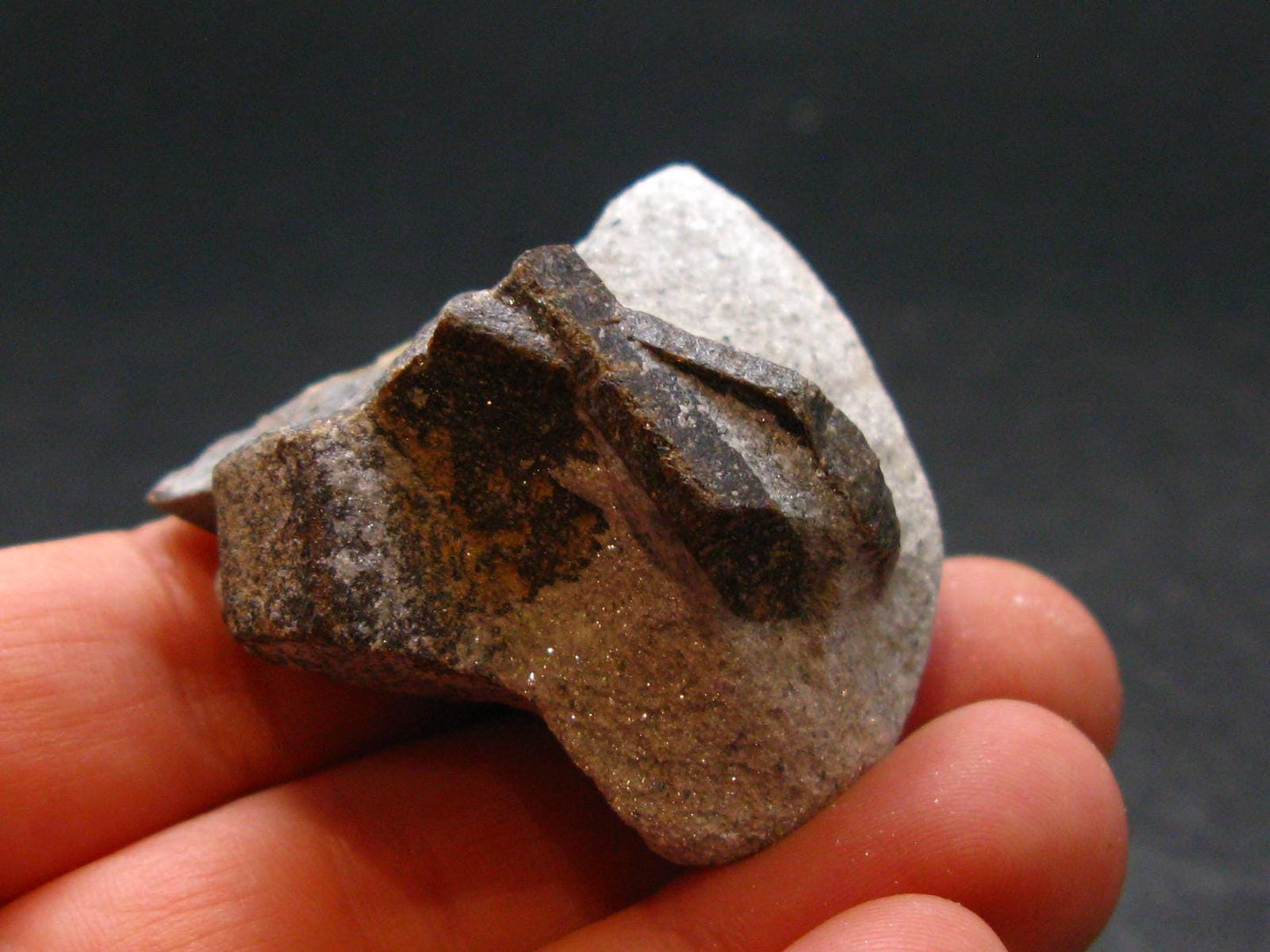 Staurolite Crystal from Russia - 1.6" - 37.13 Grams