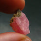 Rhodochrosite Gem Crystal From Colorado - 1.25 Grams - 0.6"