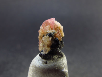 Rare Pezzottaite Pink Beryl Cluster on Matrix from Madagascar - 0.4" - 0.80 Grams