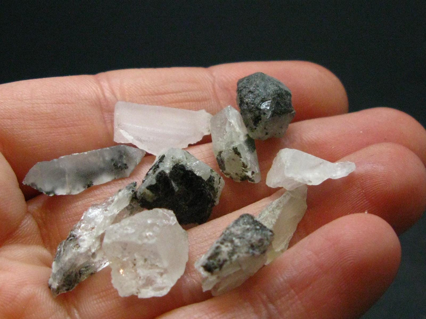 Lot of 10 Phenakite Phenacite Crystals From Brazil - 44.65 Carats