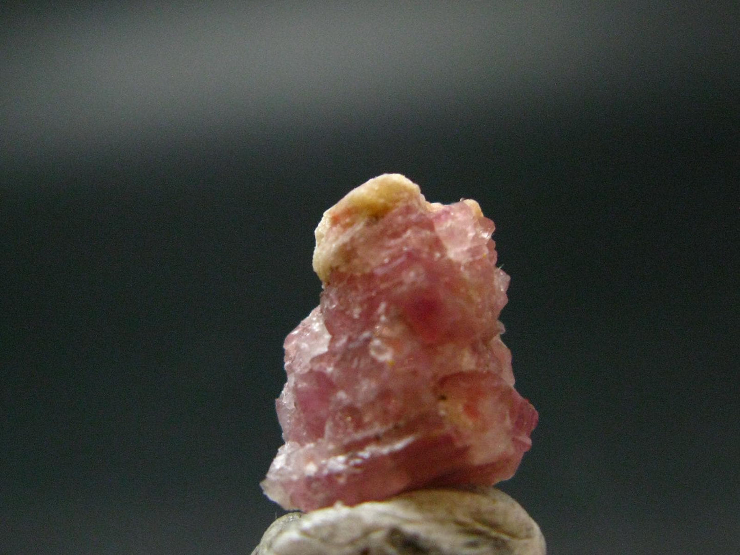 Rare Pezzottaite Crystal from Madagascar - 6.45 Carats - 0.5"