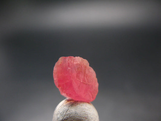 Rhodochrosite Gem Crystal From Alma Colorado - 4.10 Carats - 0.5"