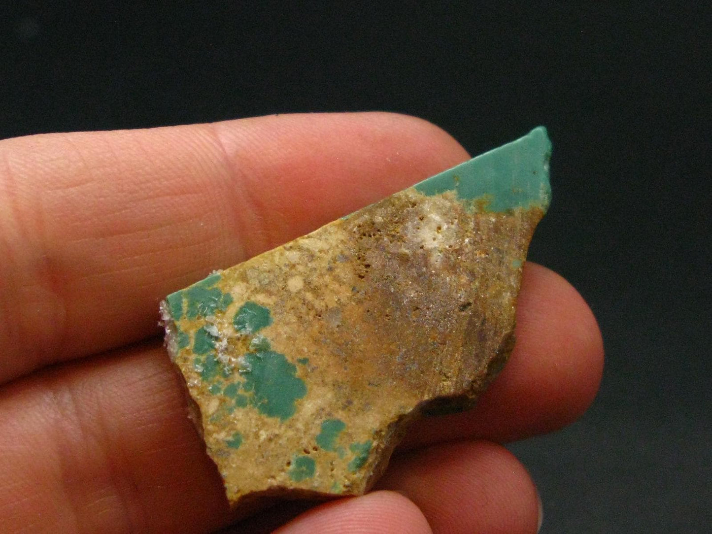 Genuine Tumbled Turquoise from Arizona, USA - 1.3" - 4.53 Grams